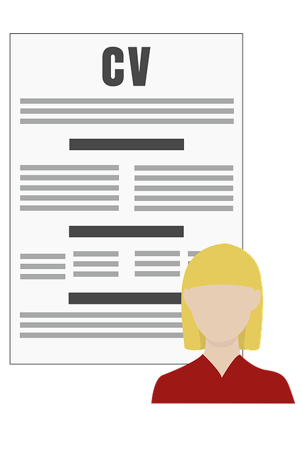Learn to assemble a perfect resume